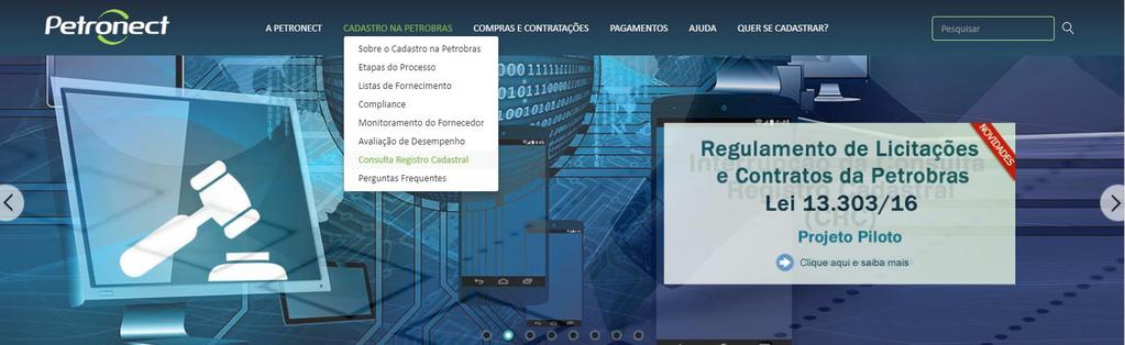 II. Como Acessar Como acessar a funcionalidade Registro área externa Consulta Registro Cadastral: possibilitará ao usuário