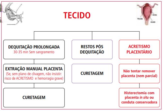 OPAS. Recomendações assistenciais para prevenção, diagnóstico e tratamento da hemorragia obstétrica.