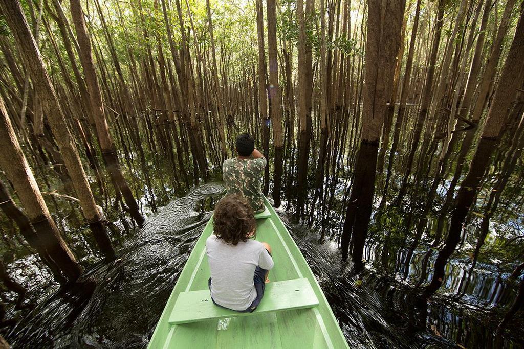 Passeio de canoa pelo igapó no Parque Nacional do Jaú Foto: Caio Vilela O maior parque florestal de água doce do mundo ainda guarda enigmas a serem desvendados.