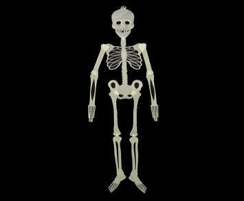 R$ 9,70 117-060 Esqueleto P halloween Cores: branco e verde (Brilha no escuro) Altura: 32cm 240 UNI.