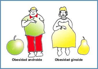 Distribuição Anatômica da Gordura Grande influência sobre os riscos associados à saúde ANDRÓIDE ou EM FORMA DE MAÇÃ : gordura depositada predominantemente na região da cintura (gordura visceral) pior
