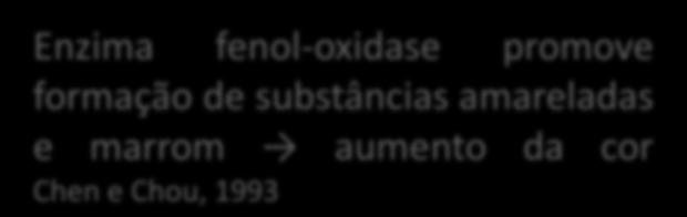 fenólicos (ppm) Correlação positiva (r= 0,8868**) Enzima fenol-oxidase