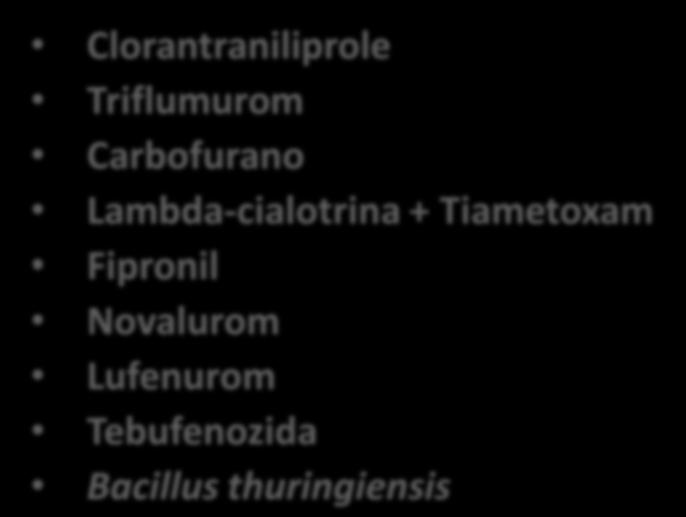 Controle + Clorantraniliprole Triflumurom Carbofurano Lambda-cialotrina +