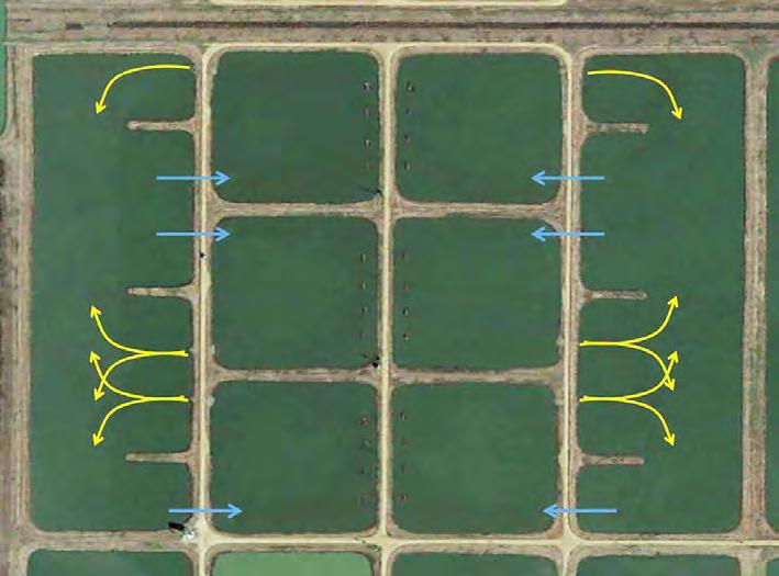 Figura 2. Na foto 1 uma bateria de viveiros que foram adaptados para promover circulação de água em viveiros adjacentes, seguindo o modelo de Split Ponds (viveiros divididos).