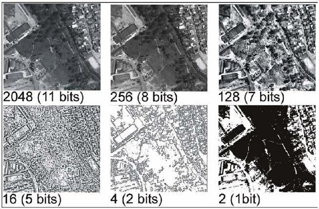 bits (2 níveis) 4 bits (16 níveis) 8