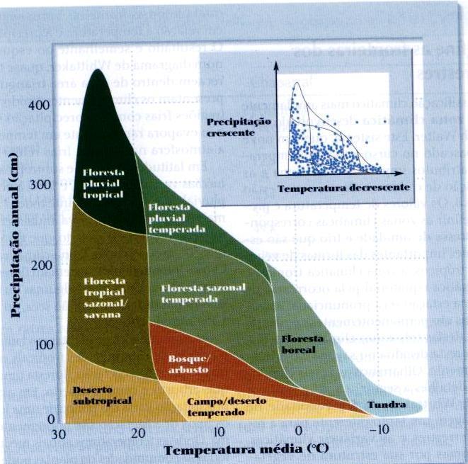 Biomas de Whittaker - Definidos de acordo com temperatura e precipitação médias.