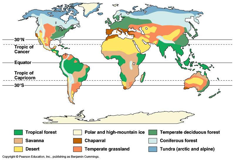 Biomas Conjunto de comunidades terrestres com uma extensão muito grande, caracterizada por seu clima