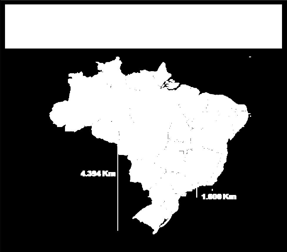 Brasil x NZ Escala Industrial Planta de