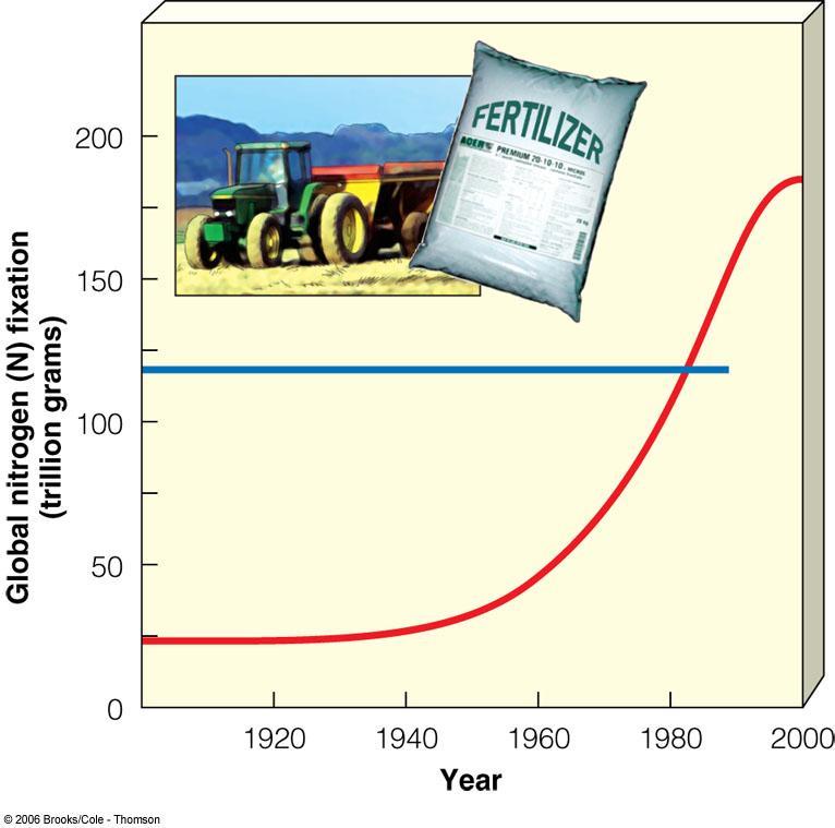 Fixação global do Nitrogênio (N) (Trilhões de gramas) Efeitos das atividades humanas Interferimos no ciclo do nitrogênio de diversas maneiras: no ciclo do nitrogênio Adicionamos grandes quantidades