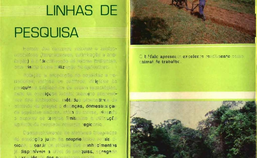 recursos naturais regionais.