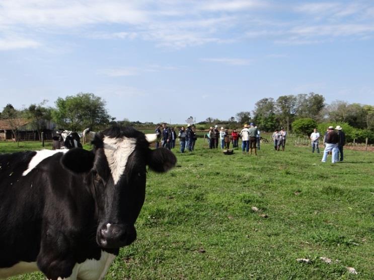 Outro fator que preocupou, ao longo de todo o ano, foi a exclusão de produtores com produção inferior a 100 litros de leite/dia.