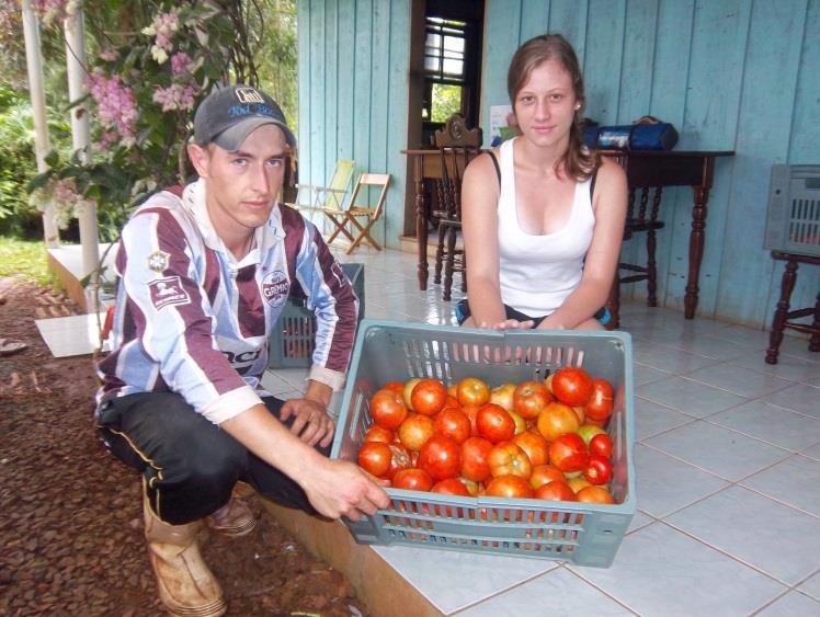 Os agricultores familiares ocupam papel destacado na produção de alimentos.