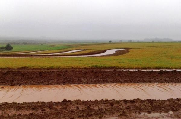 Na Região do Litoral Médio foram desenvolvidos projetos com o uso de energia solar para a distribuição da água nos potreiros de pastoreio rotativo, além de projetos de melhoramento de campo nativo e