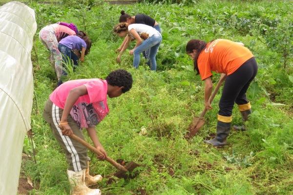 GESTÃO E EDUCAÇÃO AMBIENTAL Na mesma perspectiva de preservar os recursos naturais está a gestão ambiental das propriedades rurais.