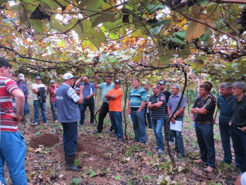 Dia de Campo sobre manejo da fertilidade do