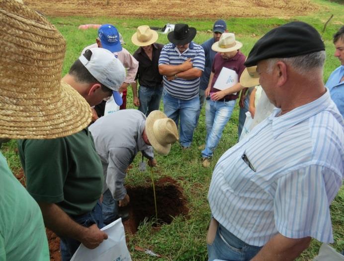 Neste último ano, organizou-se um grupo de trabalho formado por sete profissionais da região, para planejar e executar ações na área de conservação do solo e da água.