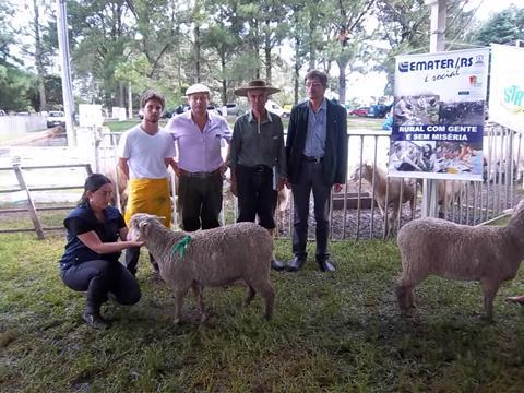 agroindústria familiar