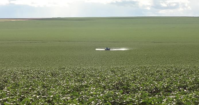 ANO III / Nº 83 PROGRAMA FITOSSANITÁRIO DE MATO GROSSO DO SUL RELATÓRIO SEMANAL DE 14 A 28 DE ABRIL DE 2014 A situação de pragas, no momento, nos três núcleos estaduais do Programa Fitossanitário,