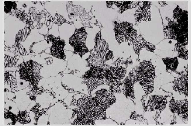 Micrografia mostrando estrutura de um aço hipoeutetóide formada por grãos de perlita e ferrita