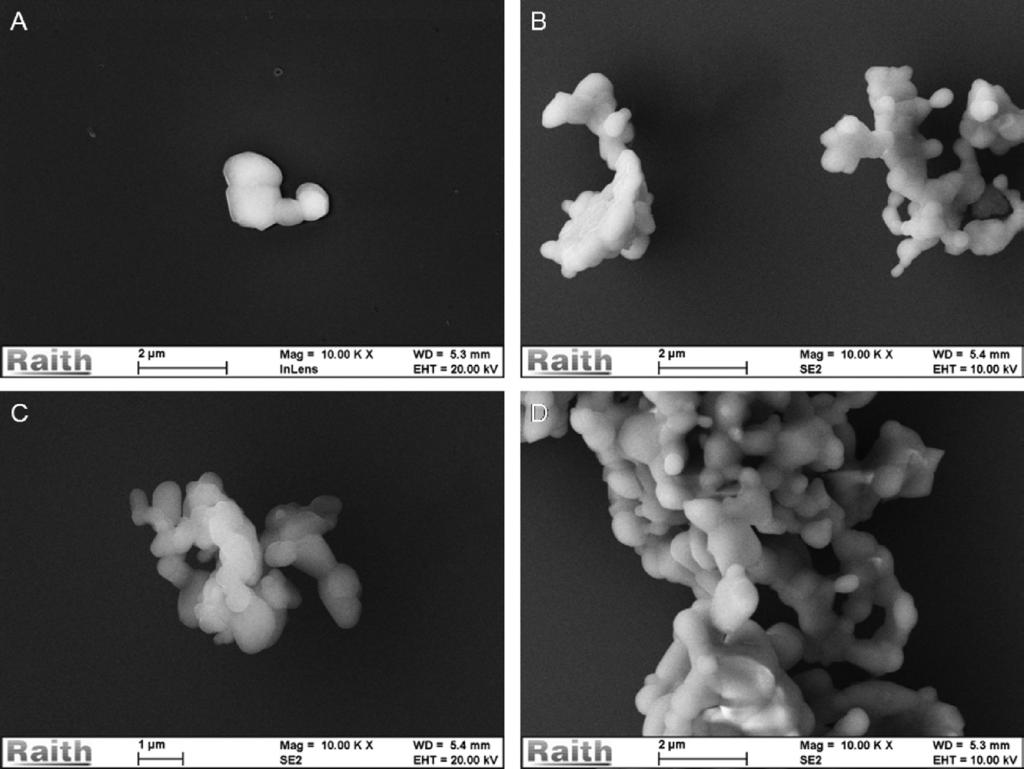 Figura 10 Micrografias (MEV-FEG) das amostras: HA 88 CTT (A), HA 40 CTT (B), HA 24 CTT (C) e HA PVP 24 CTT (D).