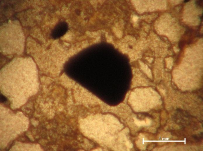 Os minerais opacos aparecem em grãos detríticos subarredondados com circularidade alta até baixa (Figura 29).
