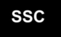 USP ICMC - SSC0714 - Turma 2015/1 INFORMAÇÕES SOBRE A DISCIPLINA USP - Universidade de São Paulo - São Carlos, SP ICMC - Instituto de Ciências Matemáticas e de Computação SSC - Departamento de