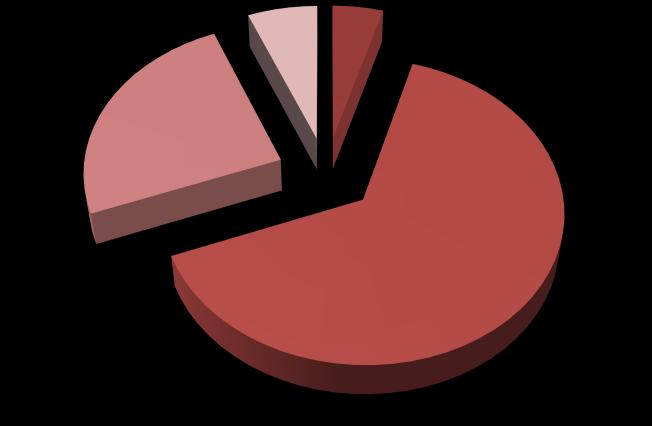 OUTRAS FUNÇÕES 6% Execução das GOP FUNÇÕES GERAIS 4% FUNÇÕES GERAIS FUNÇÕES SOCIAIS FUNÇÕES ECONÓMICAS OUTRAS FUNÇÕES FUNÇÕES ECONÓMICAS 25% FUNÇÕES SOCIAIS 65% Analisando de forma independente o PPI