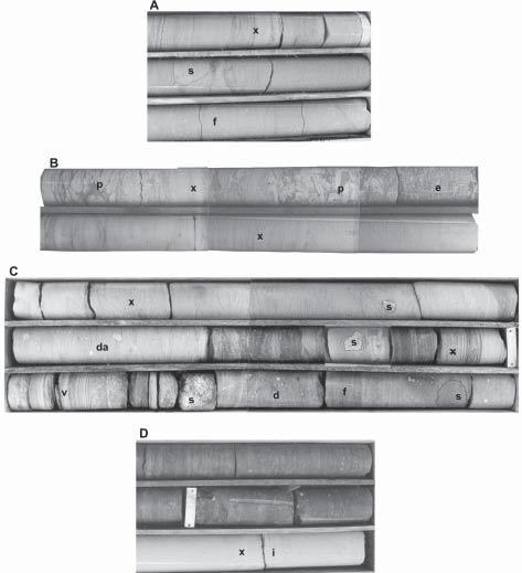 SL-2 (Prancha 3), perfazendo um total de 48 m para a Formação Rio do Sul inferior; tal espessura é muito próxima dos 50 m calculados em superfície para o Folhelho Lontras (Weinschütz, 2001).