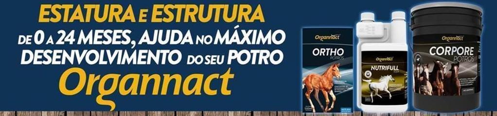 No último dia do evento, 22 de julho, vimos algo incrível: uma jovem égua castanha chamada KASSIE ONLY levou Natalia Schneider Vargas, uma garota de 13 anos, ao título de Campeã da Jovem B.