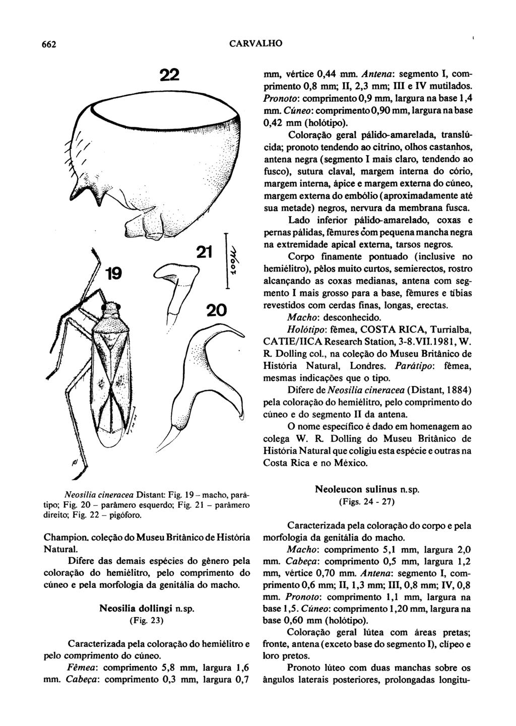 662 22 CARVALHO tipo; Fig. 20 - paramero esquerdo; Fig. 21 - paramero direito; Fig. 22 - pigoforo. mm, vertice 0,44 mm. Antena: segmento I, comprimento 0,8 mm; II, 2,3 mm; III e IV mutilados.