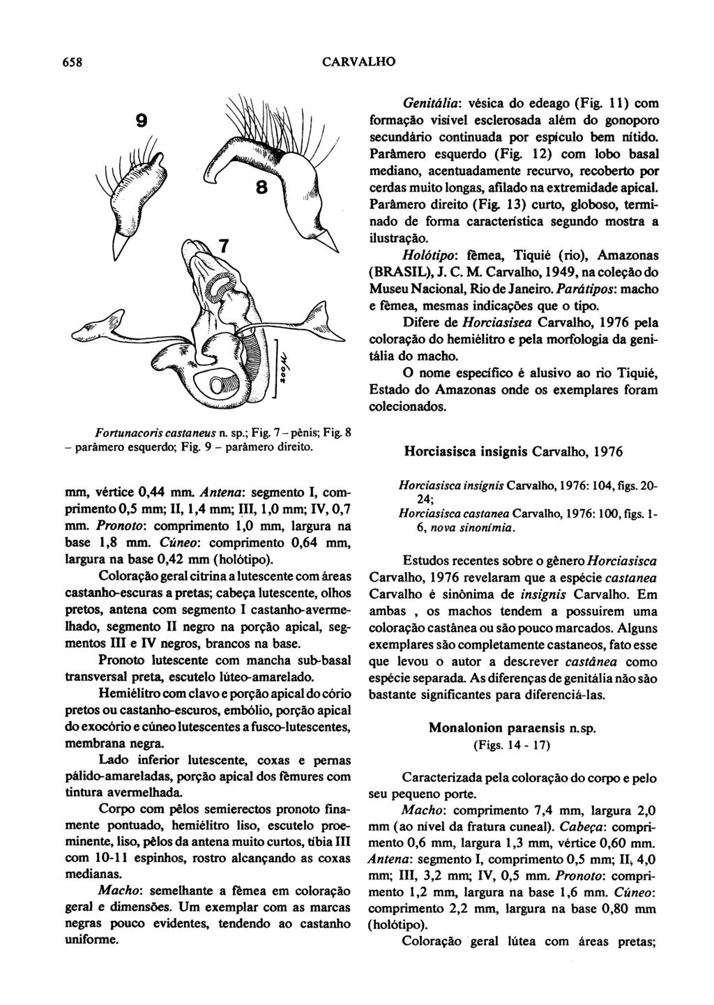 658 CARVALHO Fortunacoris castaneus a sp.; Fig. 7- penis; Fig. 8 - paramero esquerdo; Fig. 9 - paramero direito.