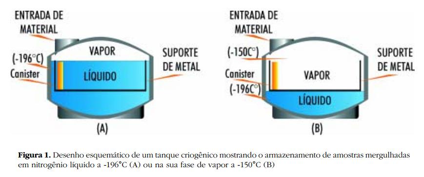 Criopreservação Adaptado de: http://www.biotecnologia.com.