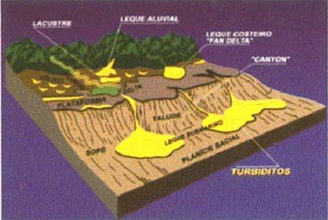 São todos aqueles depósitos de correntes de turbidez, gerados por fluxos gravitacionais de sedimentos cuja camada basal é laminar e a porção superior é altamente turbulenta Presentes em