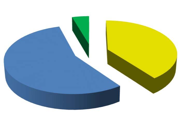 4.3 DISTRIBUIÇÃO POR INSTITUIÇÃO FINANCEIRA SEGMENTO VALOR APLICADO (em R$) Percentual sobre Patrimônio Líquido RPPS Banco do Brasil 44.356.430,39 37,5% Caixa Econômica Federal 61.787.