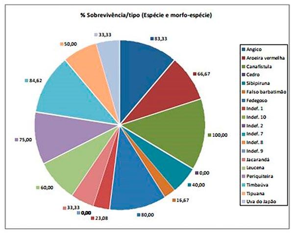 8,6177) tenha sido inferior a média geral dos indivíduos avaliados (30,96 cm± 27,5760) (Figura 2).