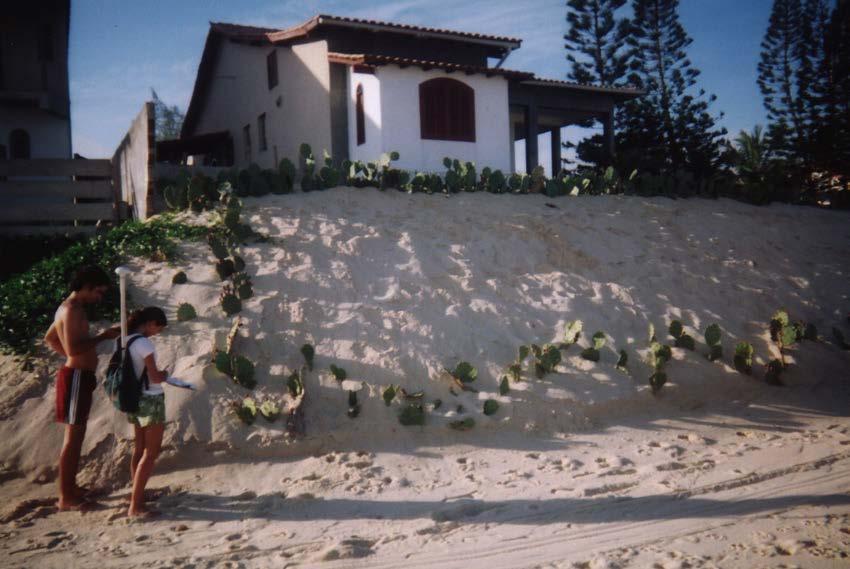 Praia da Barra de