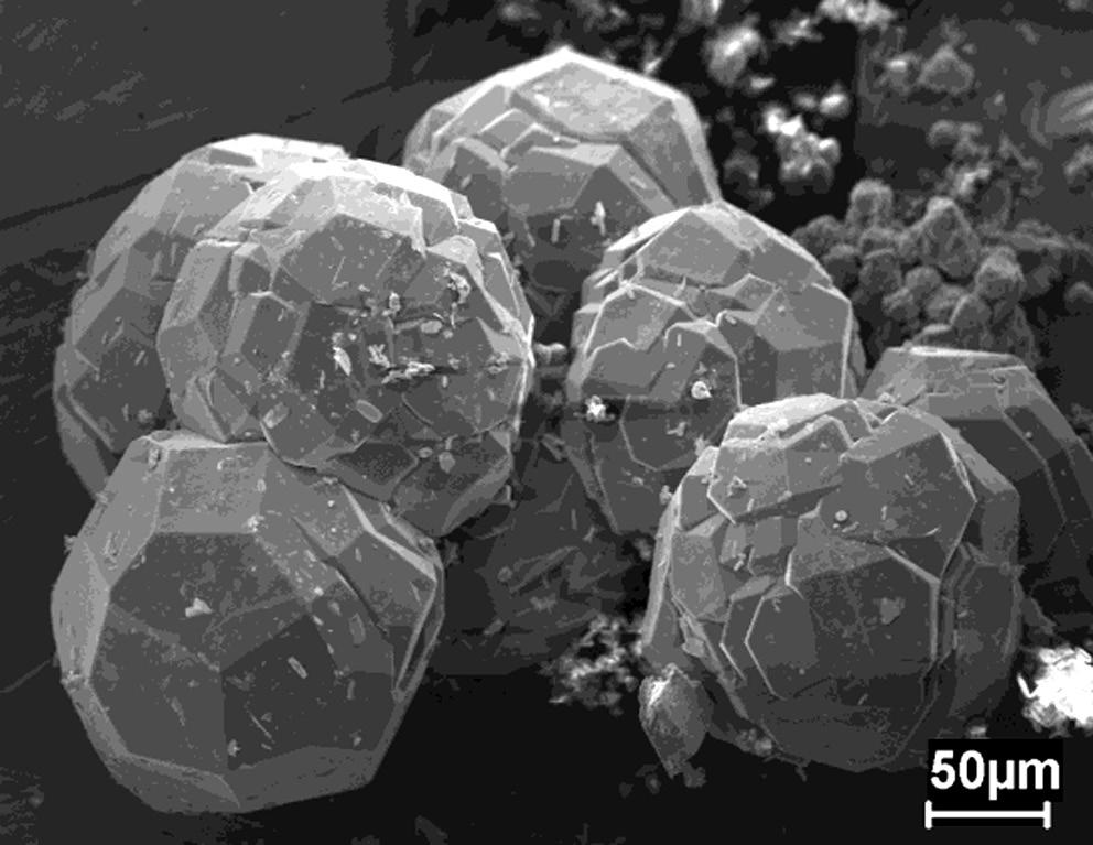sintetizadas no primeiro e no segundo ciclo do processo. [Figure 5: Scanning electron microscopy micrographs of analcime zeolites synthesized in the first and second cycle of the process.