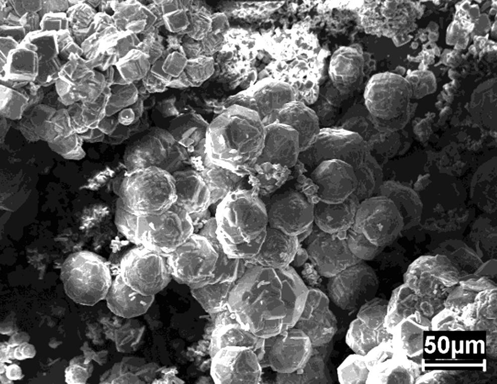 As imagens de microscopia eletrônica de varredura dos materiais de partidas e das zeólitas sintetizadas no trabalho são mostradas nas Figs. 4, 5 e 6.