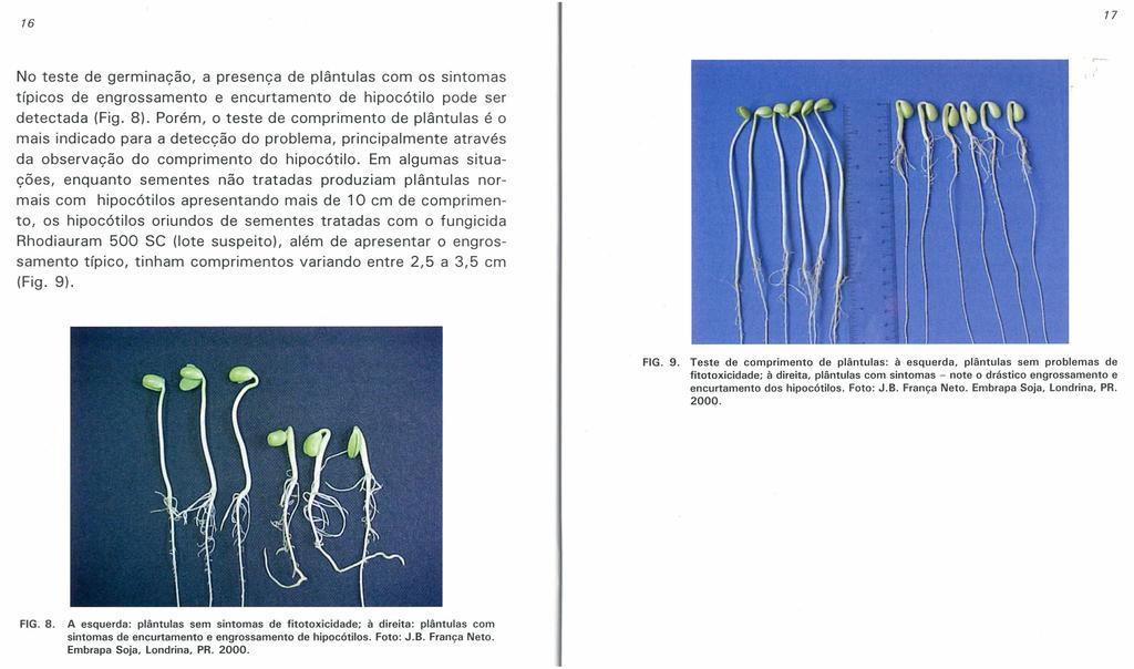 16 17 No teste de germinação, a presença de plântulas com os sintomas típicos de engrossamento e encurtamento de hipocótilo pode ser detectada (Fig. 8).