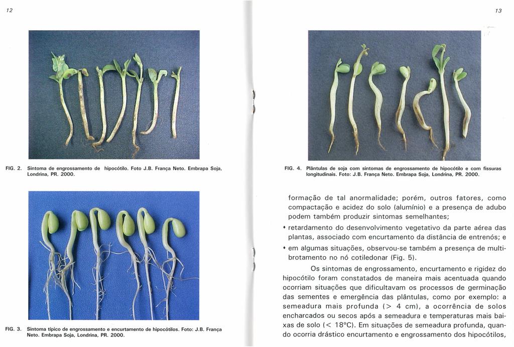 12 13 FIG. 2. Sintoma de engrossamento de hipocótilo. Foto J.B. França Neto. Embrapa Soja, londrina, PR. 2000. FIG. 4.