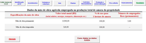 Importante: devem ser informados os valores totais gastos anualmente com a mão de obra, ou seja, esses valores incluem os seguintes itens: encargos sociais, transporte, alimentação, hospedagem, plano