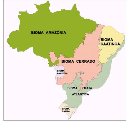 O Cerrado brasileiro Segundo maior bioma brasileiro Estações seca e úmida bem definidas Mais de 160.