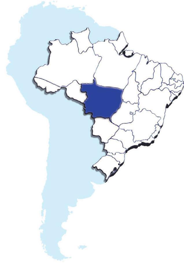 Cuiabá Cidades analisadas neste estudo São José dos Quatro Marcos Segundo a Organização Mundial da Saúde (OMS 9), 88%