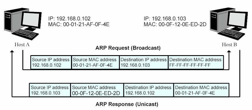 MAC address: exibe o endereço MAC do computador. VLAN ID: exibe a VLAN ID que o computador pertence. Port: exibe o número da porta do switch em que o computador está conectado.