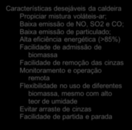 de biomassa Facilidade de remoção das cinzas Monitoramento e operação remota Flexibilidade no uso de