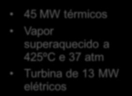 térmicos Vapor