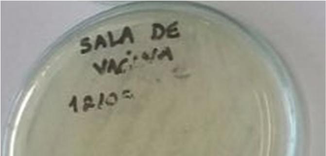 placas incubadas a 37 ºC por 24-48 horas após a absorção da amostra pelo meio.