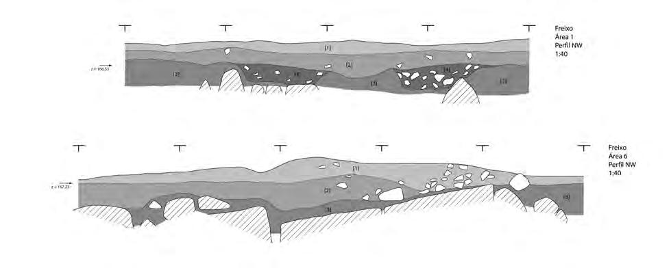 Fig. 3 Exemplos da estratigrafia observada no sítio do Freixo: Área 1 e Área 6. mento siltoso bastante solto e a UE 2 a uma camada com características semelhantes sendo contudo bastante mais compacta.