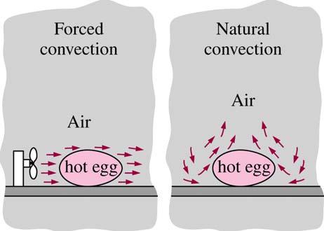 Convecção forçada Convecção natural Ar ovo uente Ar ovo uente (a) (b) Figura 3 Arrefecimento de um ovo cozido por (a) convecção forçada; (b) convecção natural A análise detalhada do fenómeno de