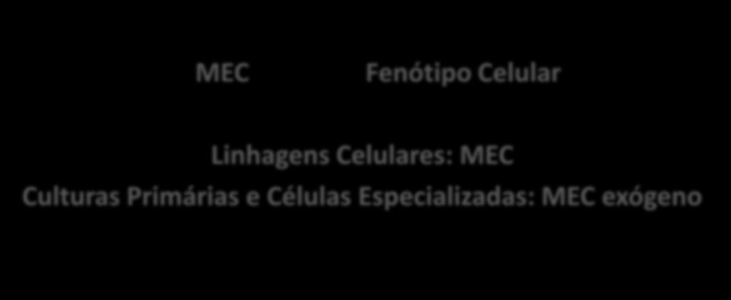 Biologia Celular Matriz Extracelular MEC Fenótipo Celular Linhagens